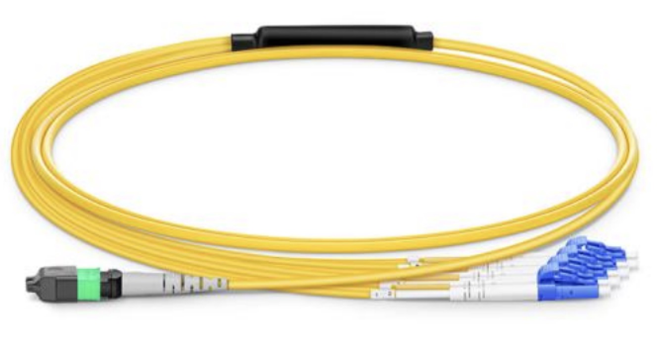 MPO/MTP PATCH CORD