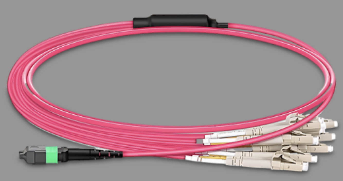 MPO/MTP PATCH CORD