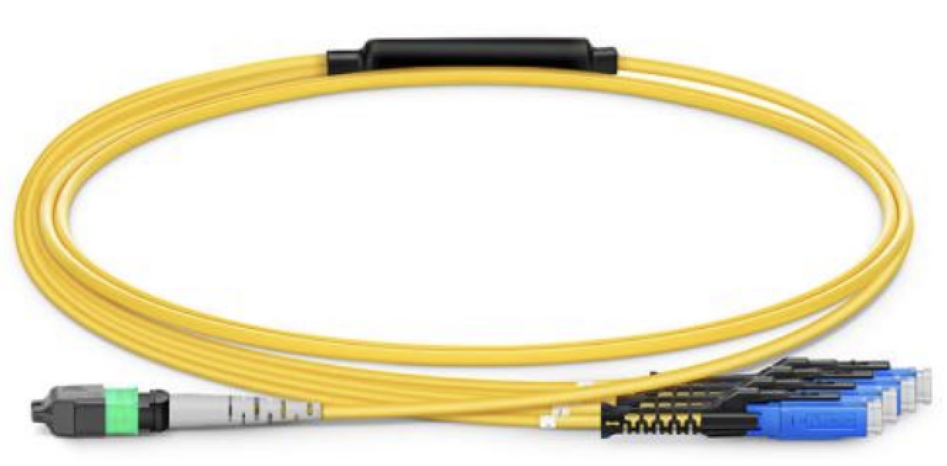 MPO/MTP PATCH CORD