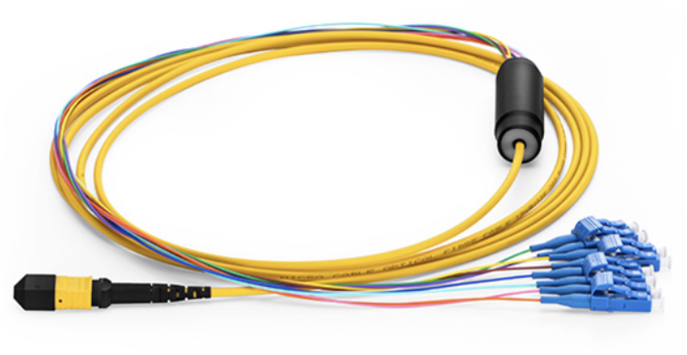 MPO/MTP PATCH CORD