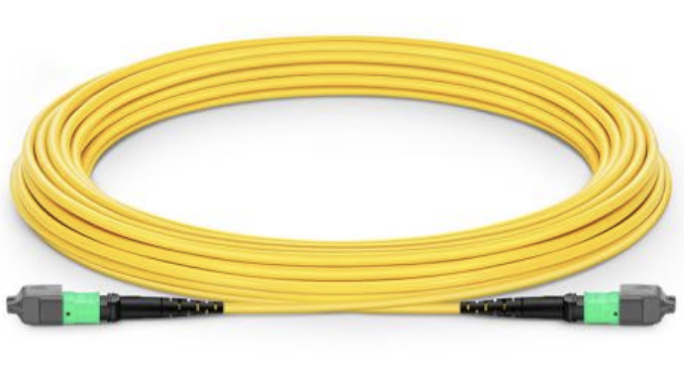 MPO/MTP PATCH CORD
