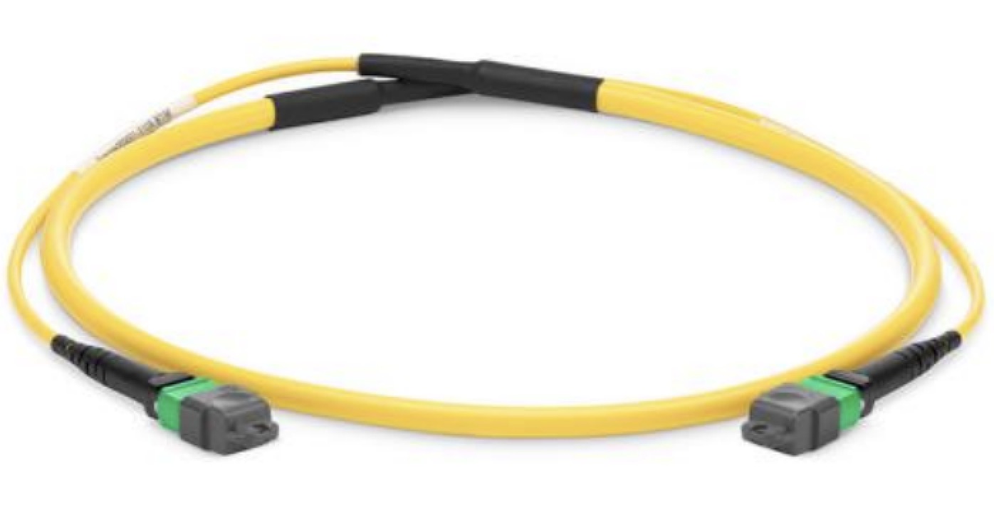 MPO/MTP PATCH CORD